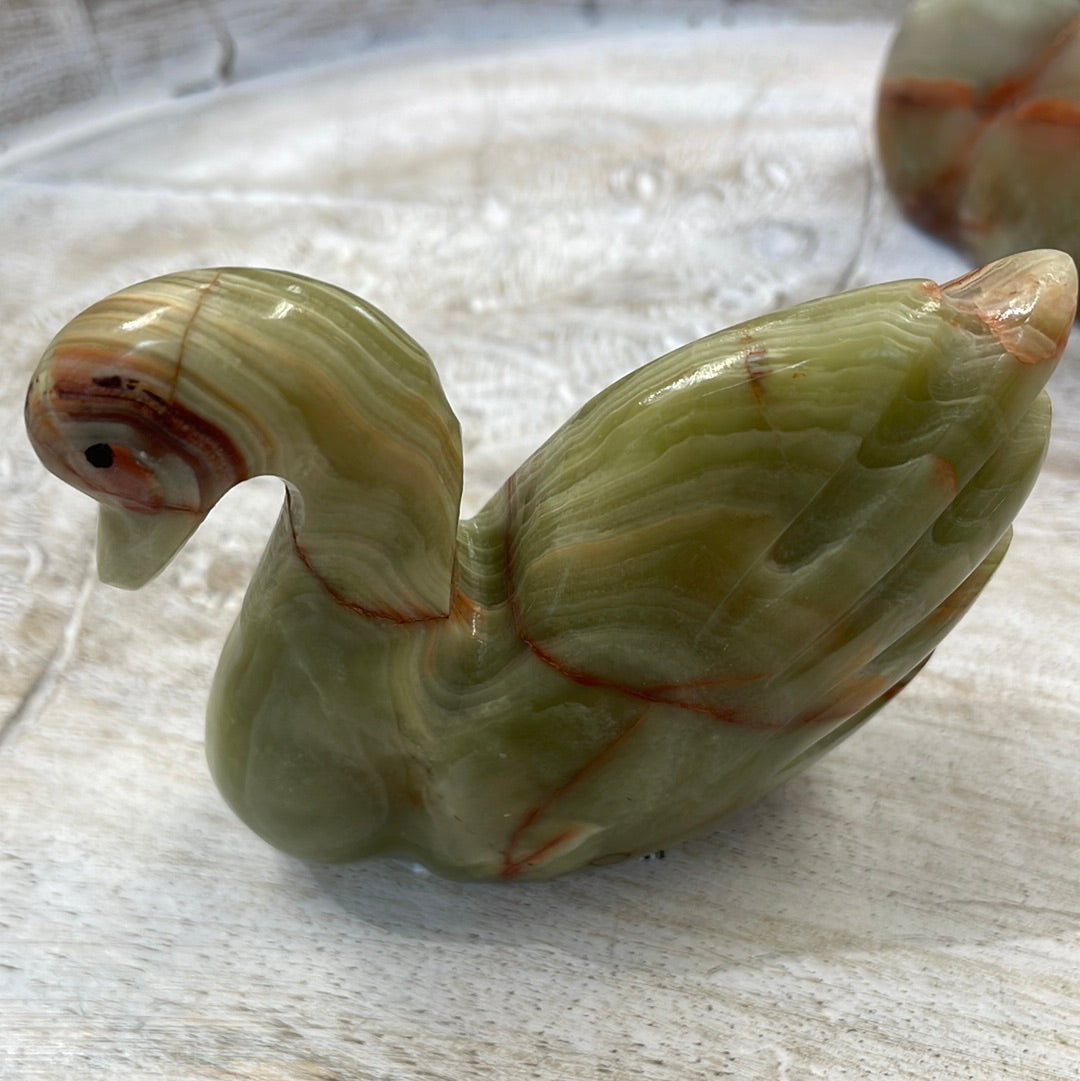 Onyx Swan
