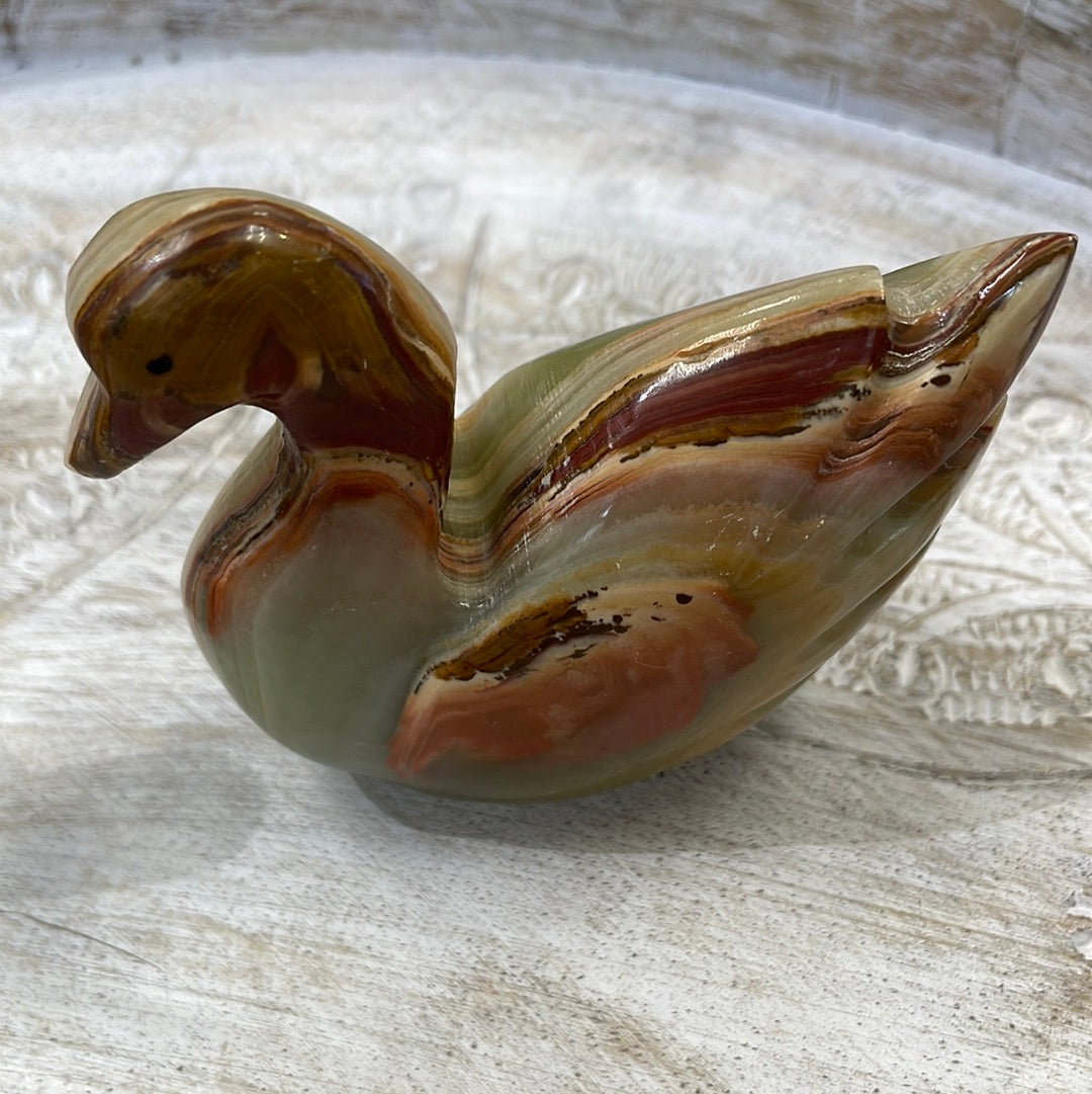 Onyx Swan