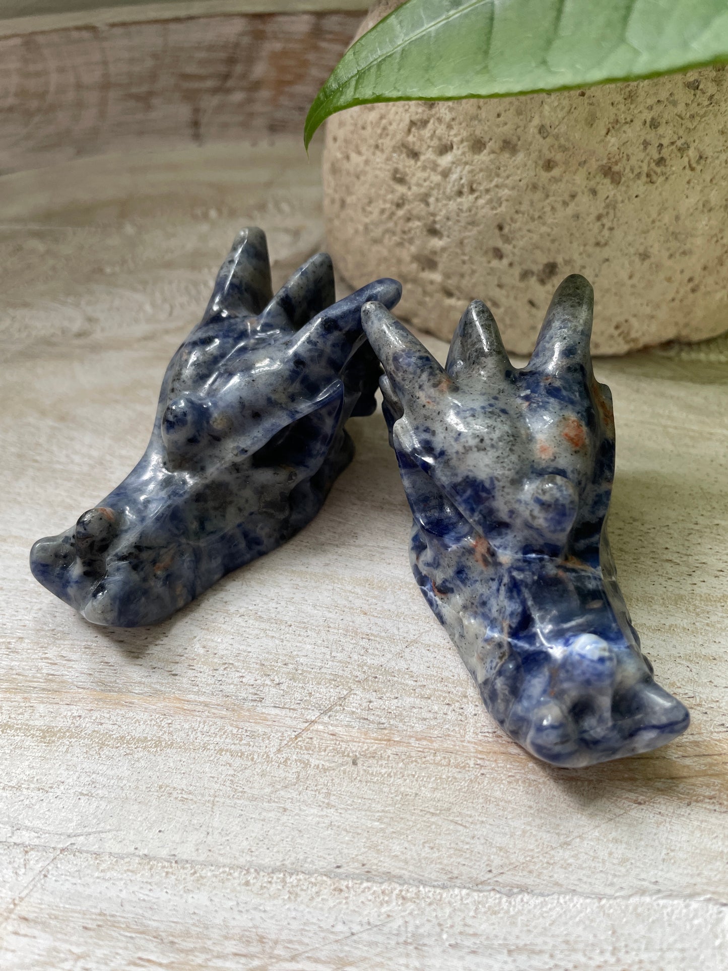 Dragon Head