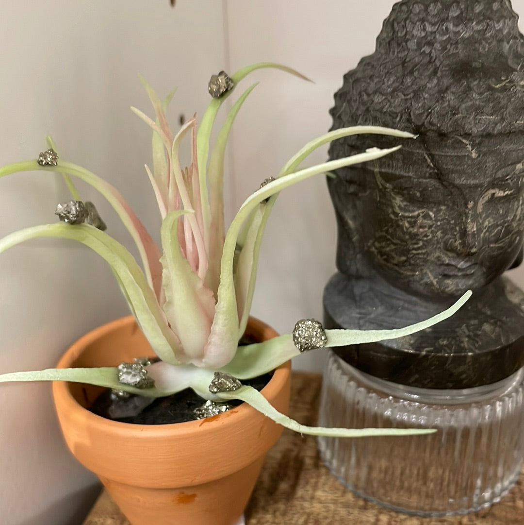Crystal Flower