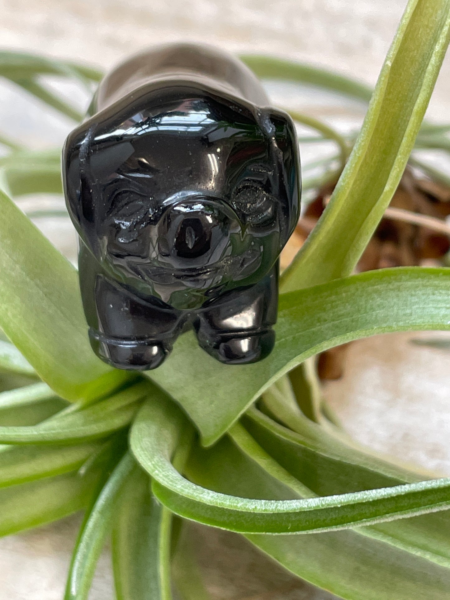 Obsidian Pig