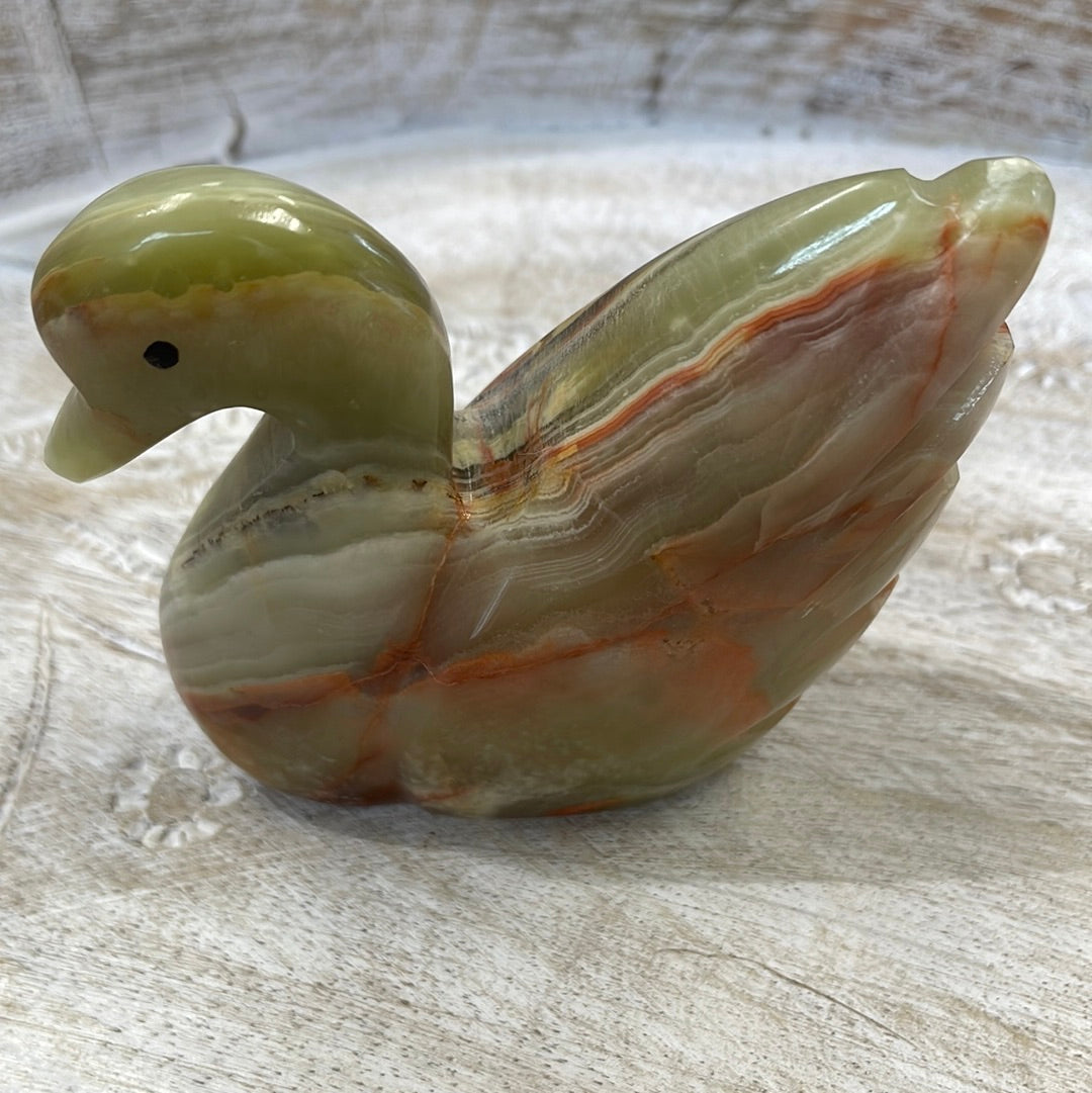 Onyx Swan
