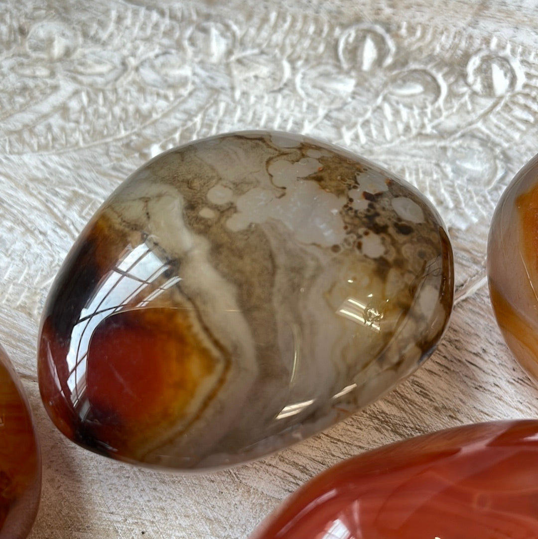 Carnelian Puffy Palm