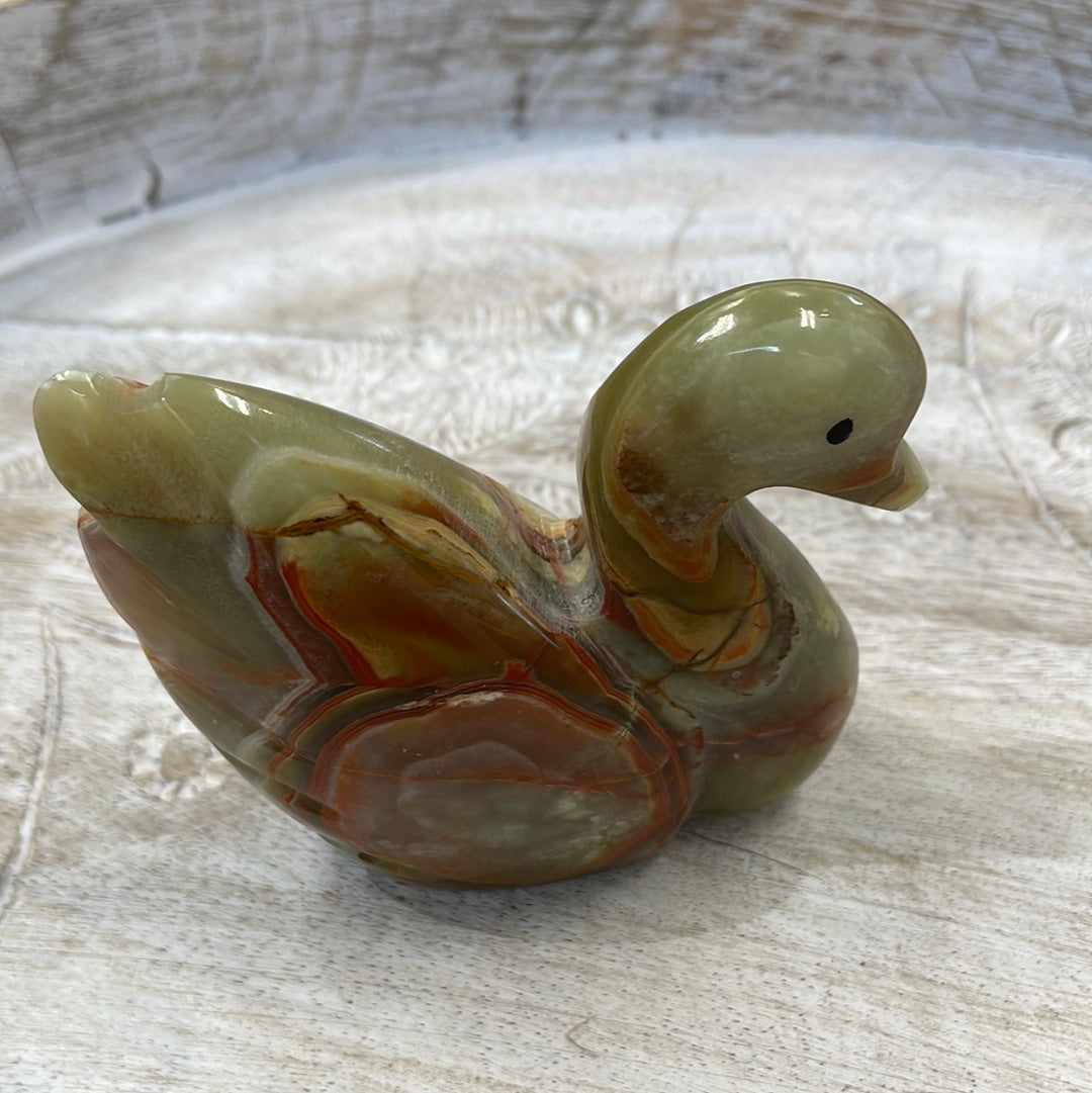 Onyx Swan