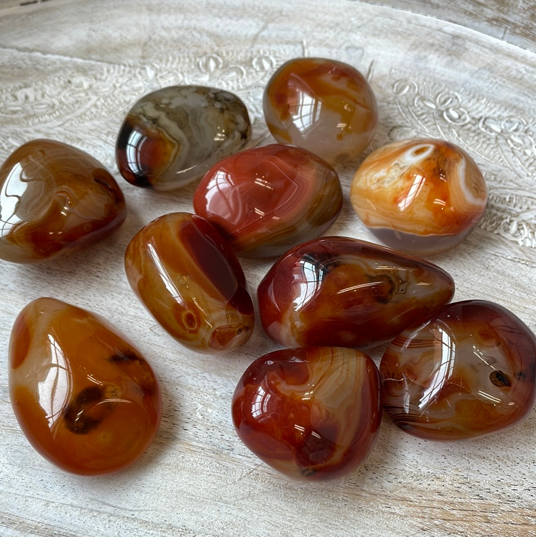 Carnelian Puffy Palm