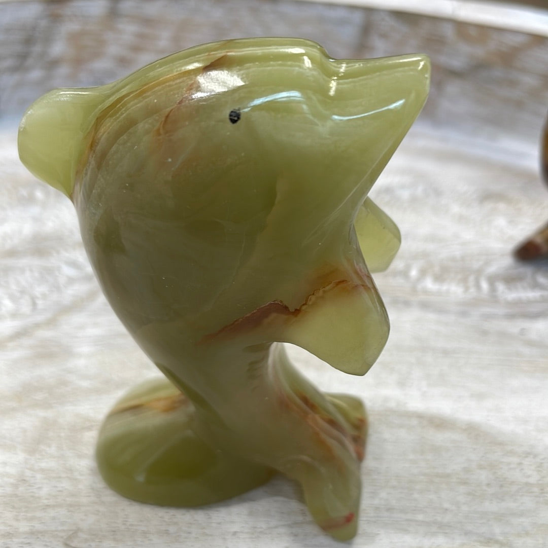 Onyx Dolphin
