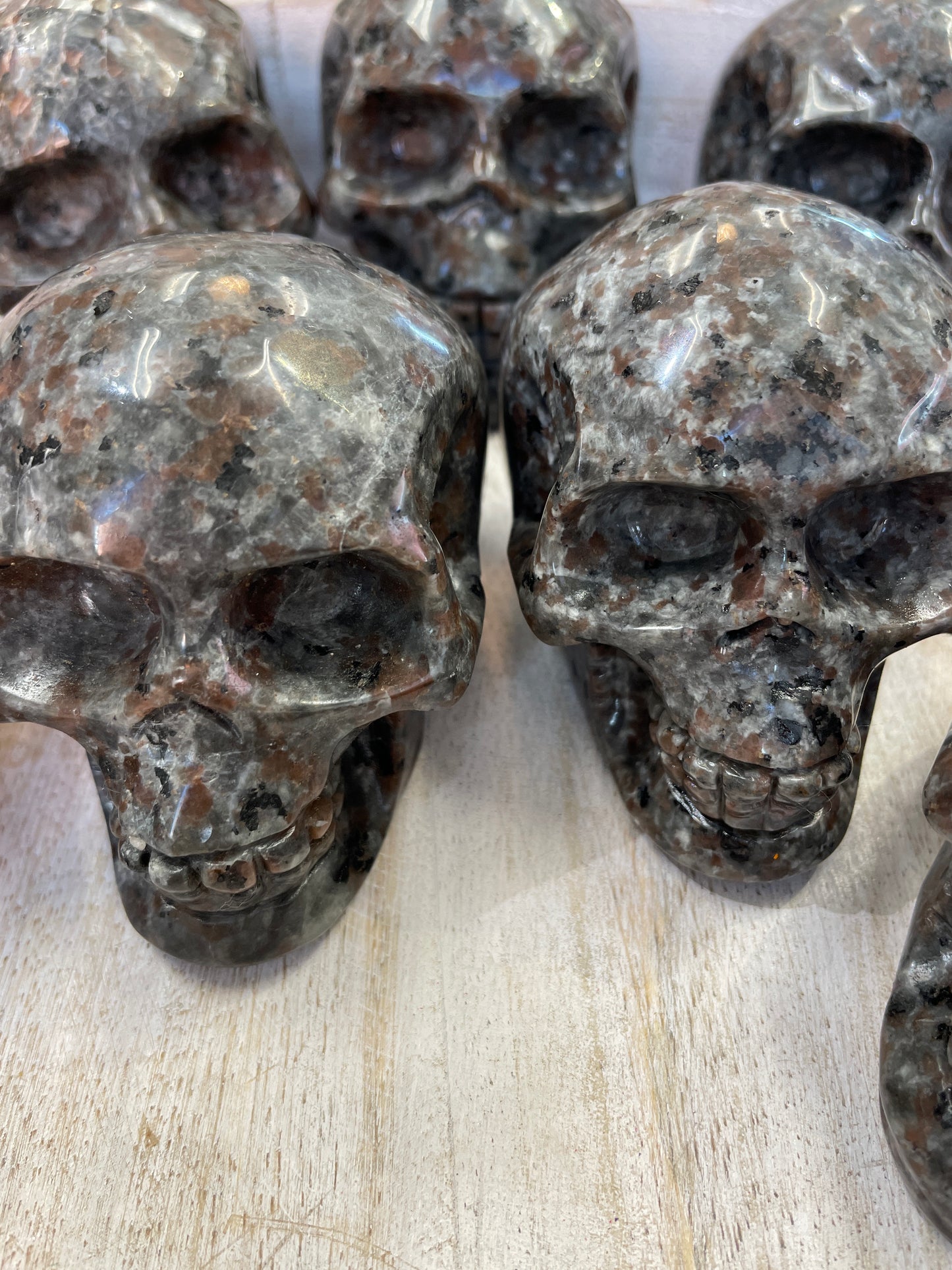 Yooperlite Skull