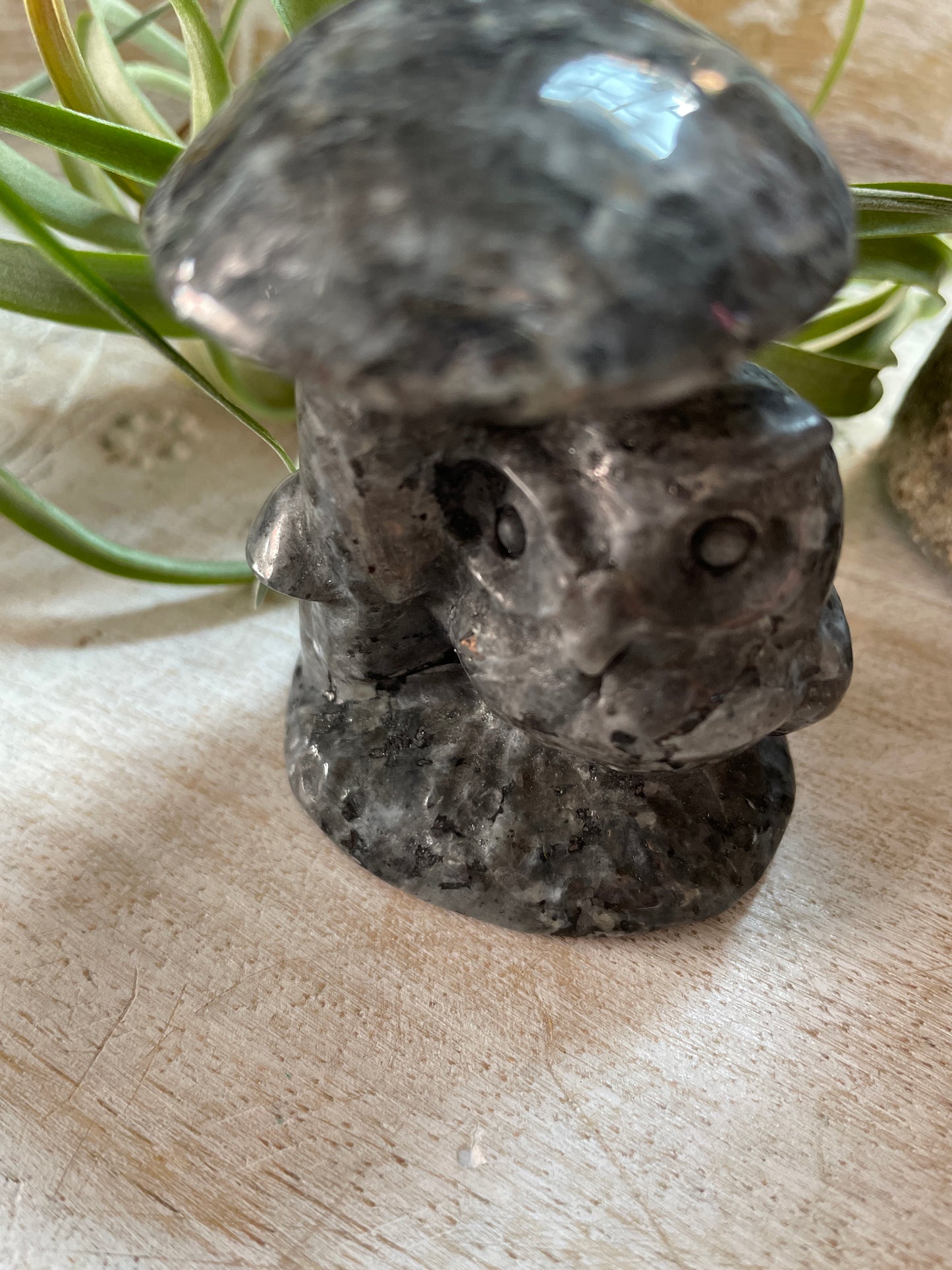 Mushroom Wolf/Owl Carving