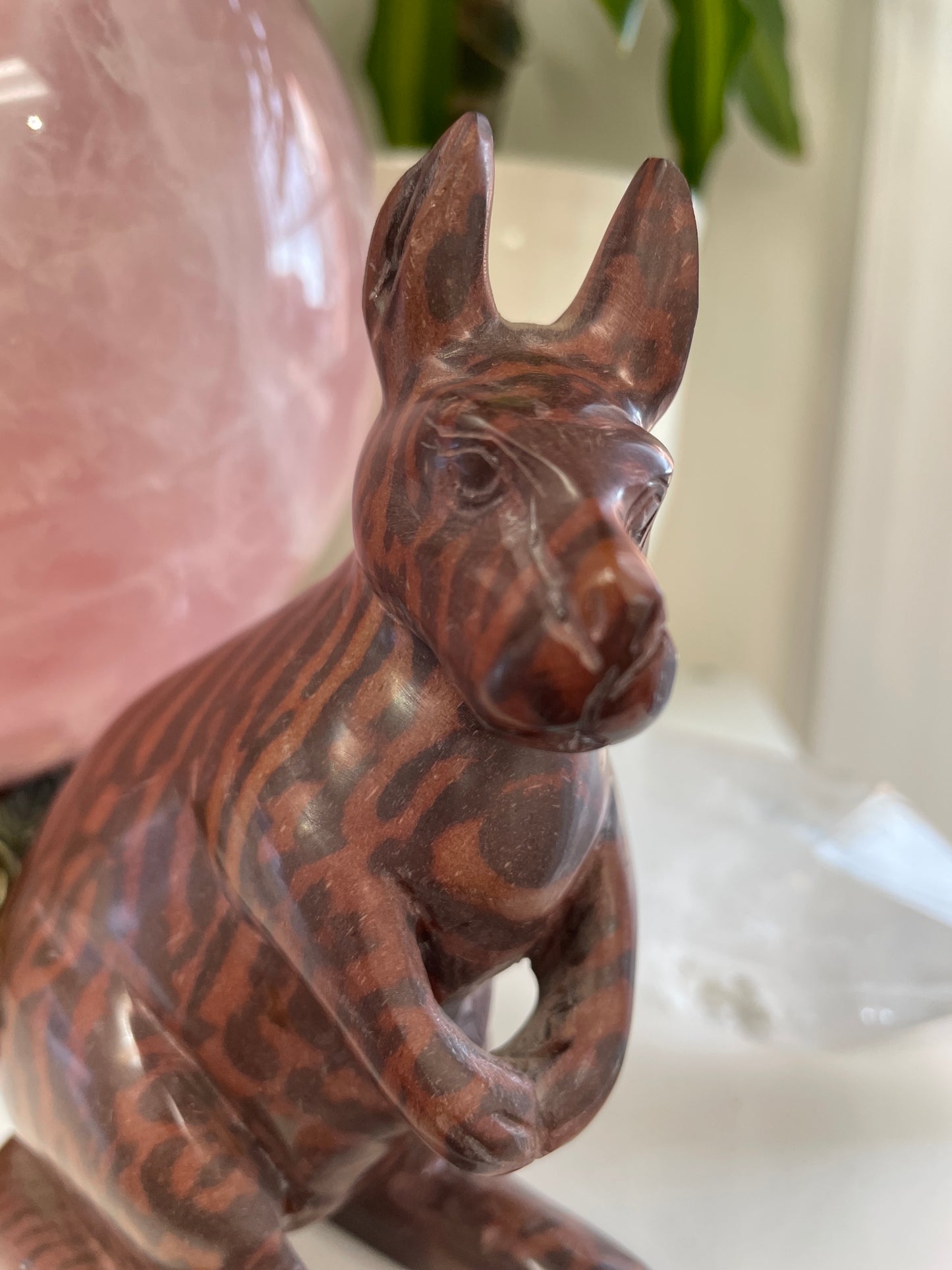 Tiger Iron Banded Jasper Kangaroo