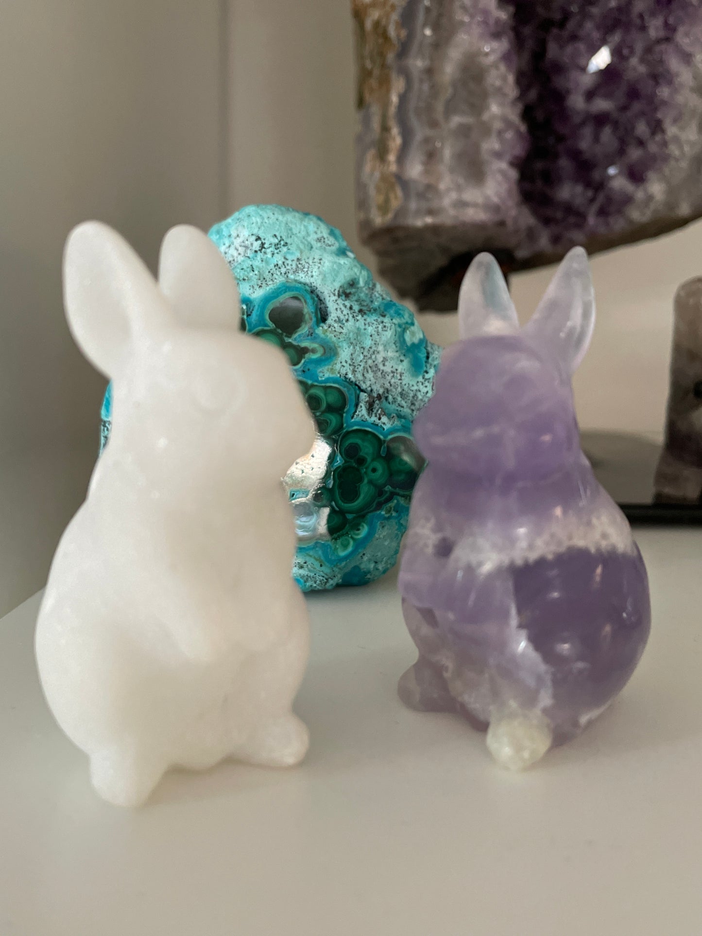 Bunny