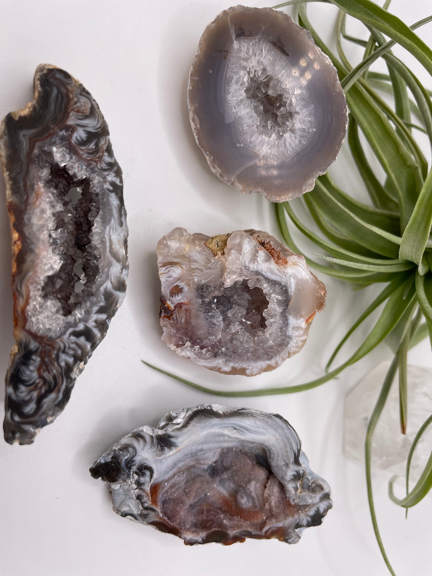 Oco Agate Geode