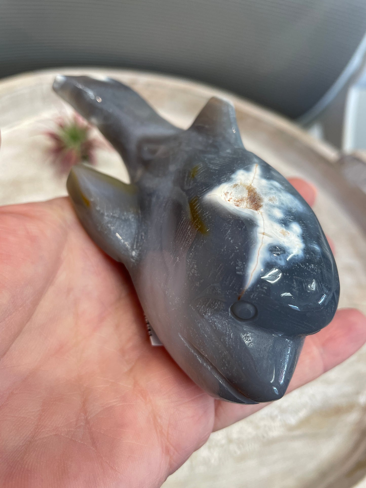 Orca Agate Whale