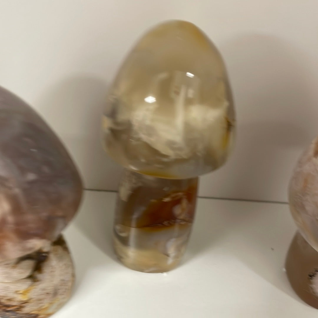 Flower Agate Mushrooms