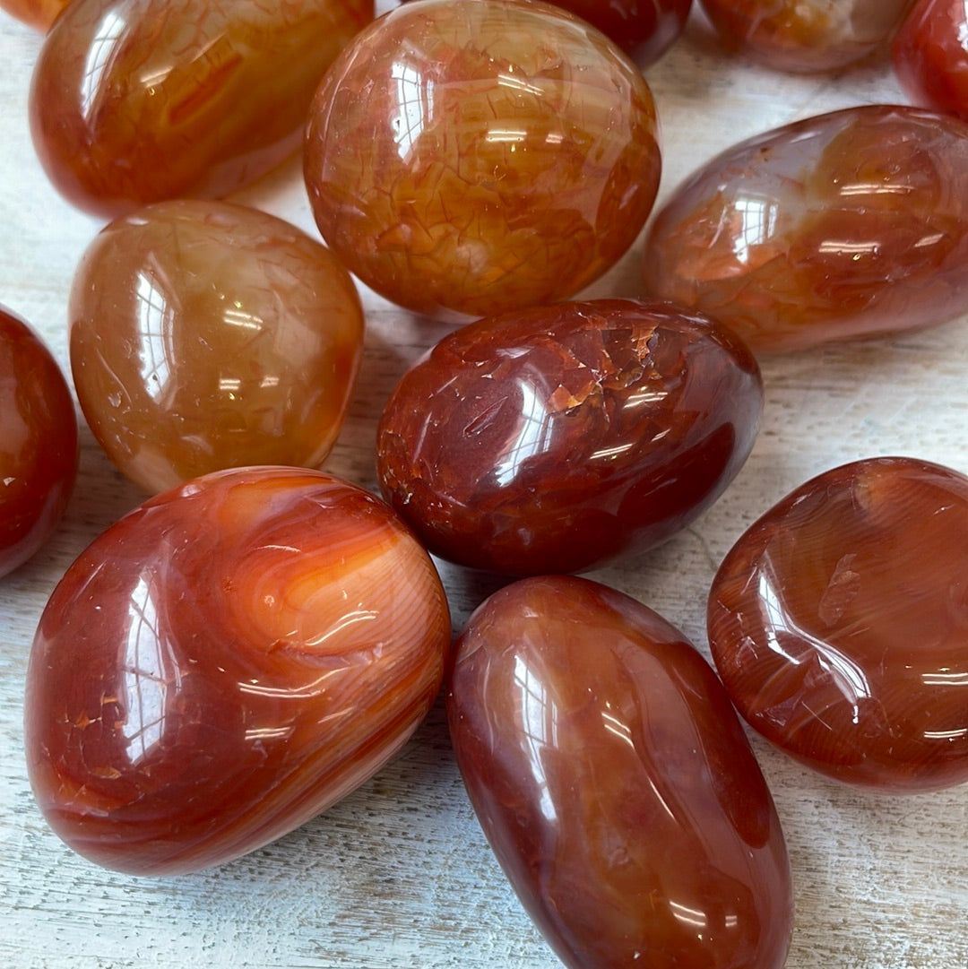 Carnelian Puffy Palm