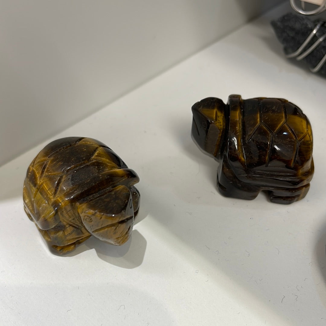 Turtle