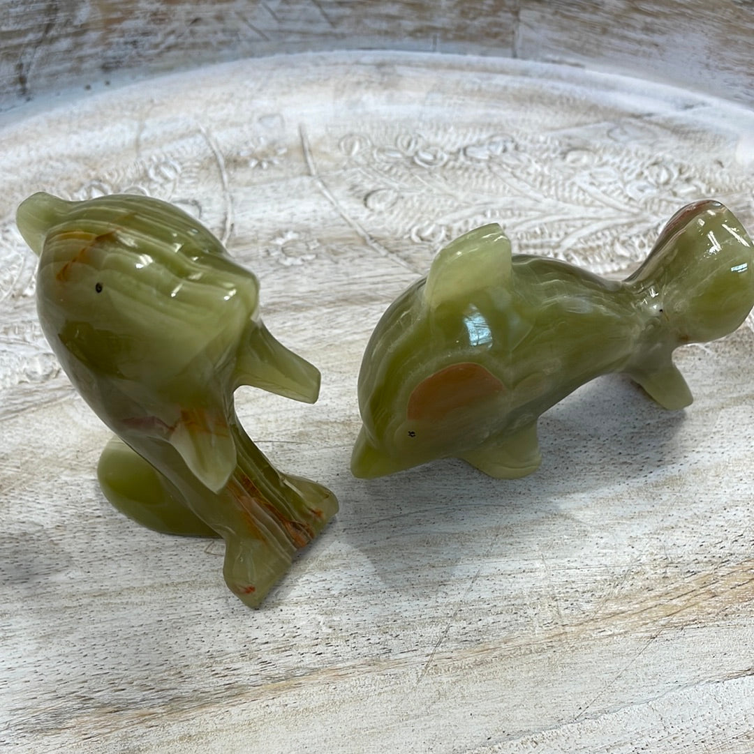 Onyx Dolphin