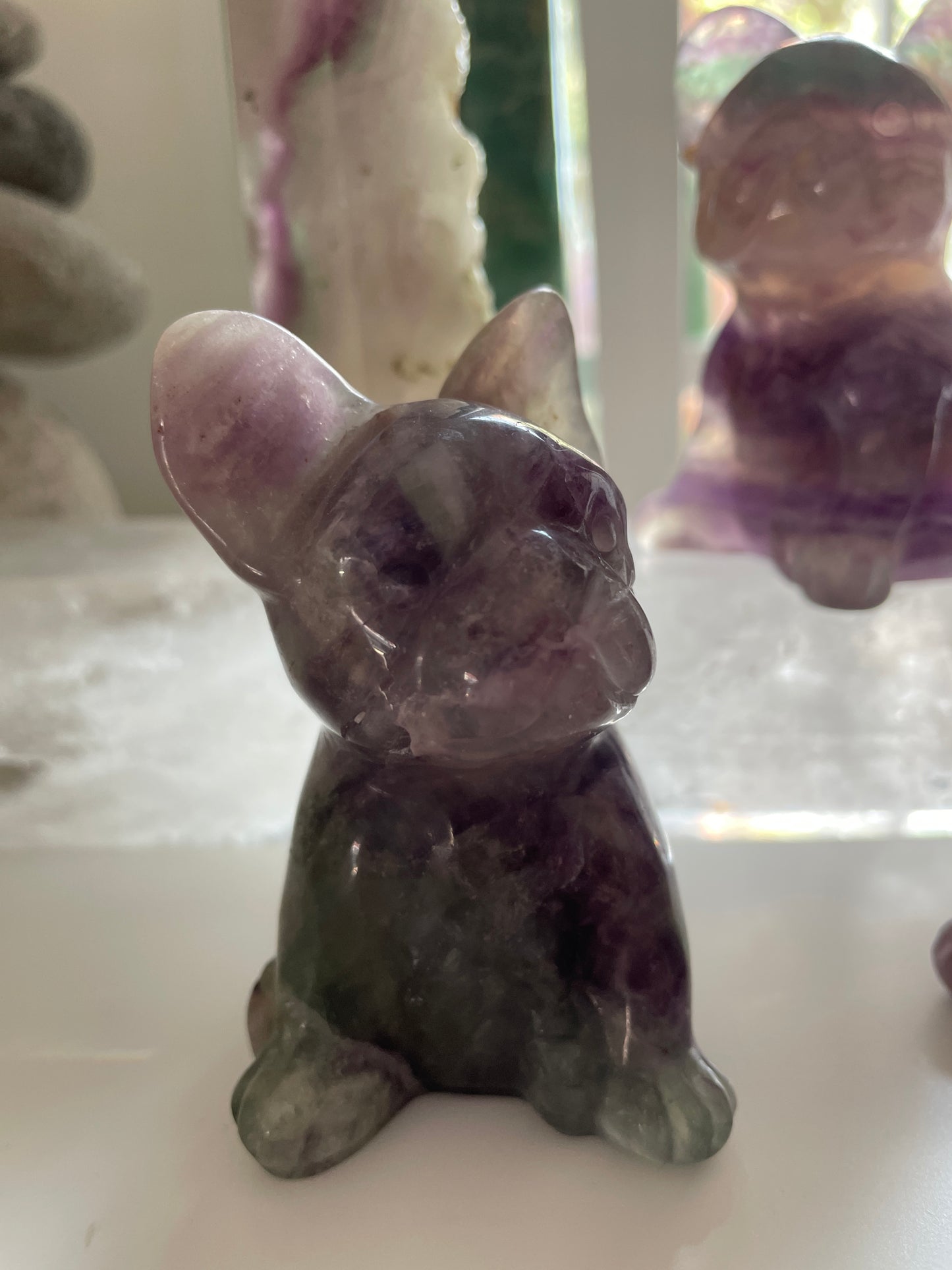 Fluorite French Bulldogs