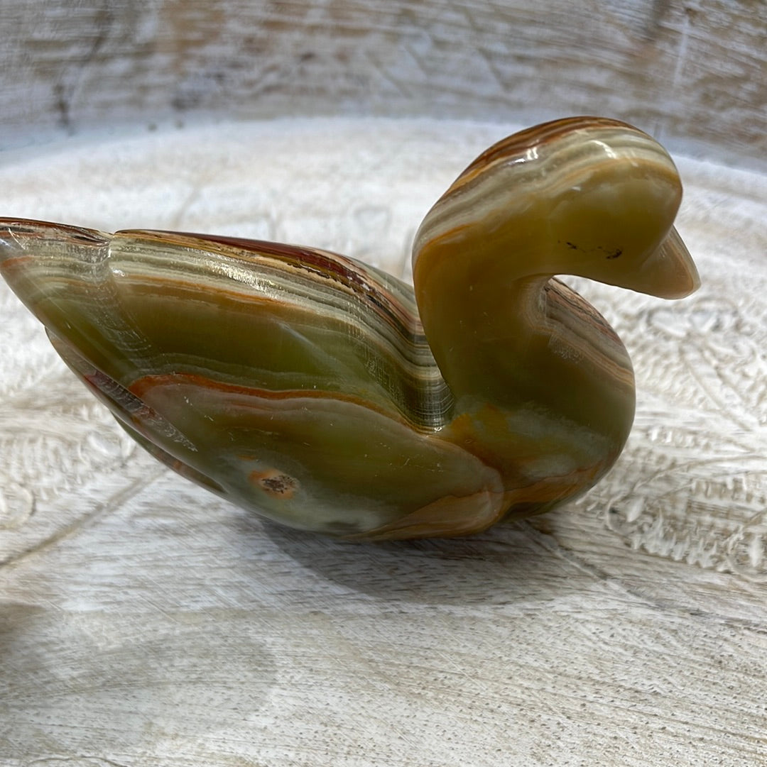 Onyx Swan