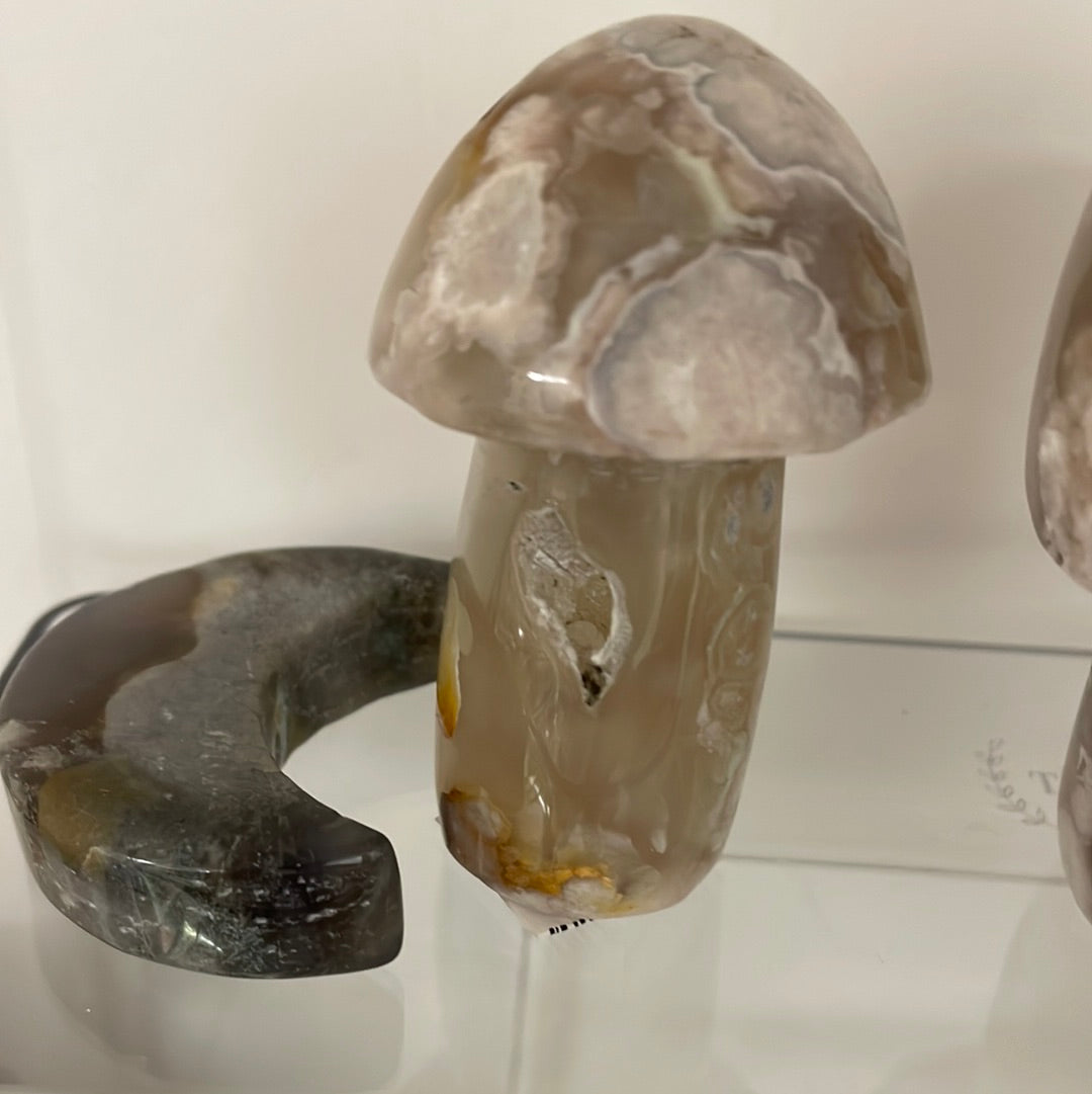 Flower Agate Mushrooms