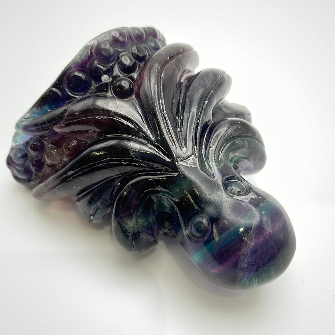 Fluorite Octopus