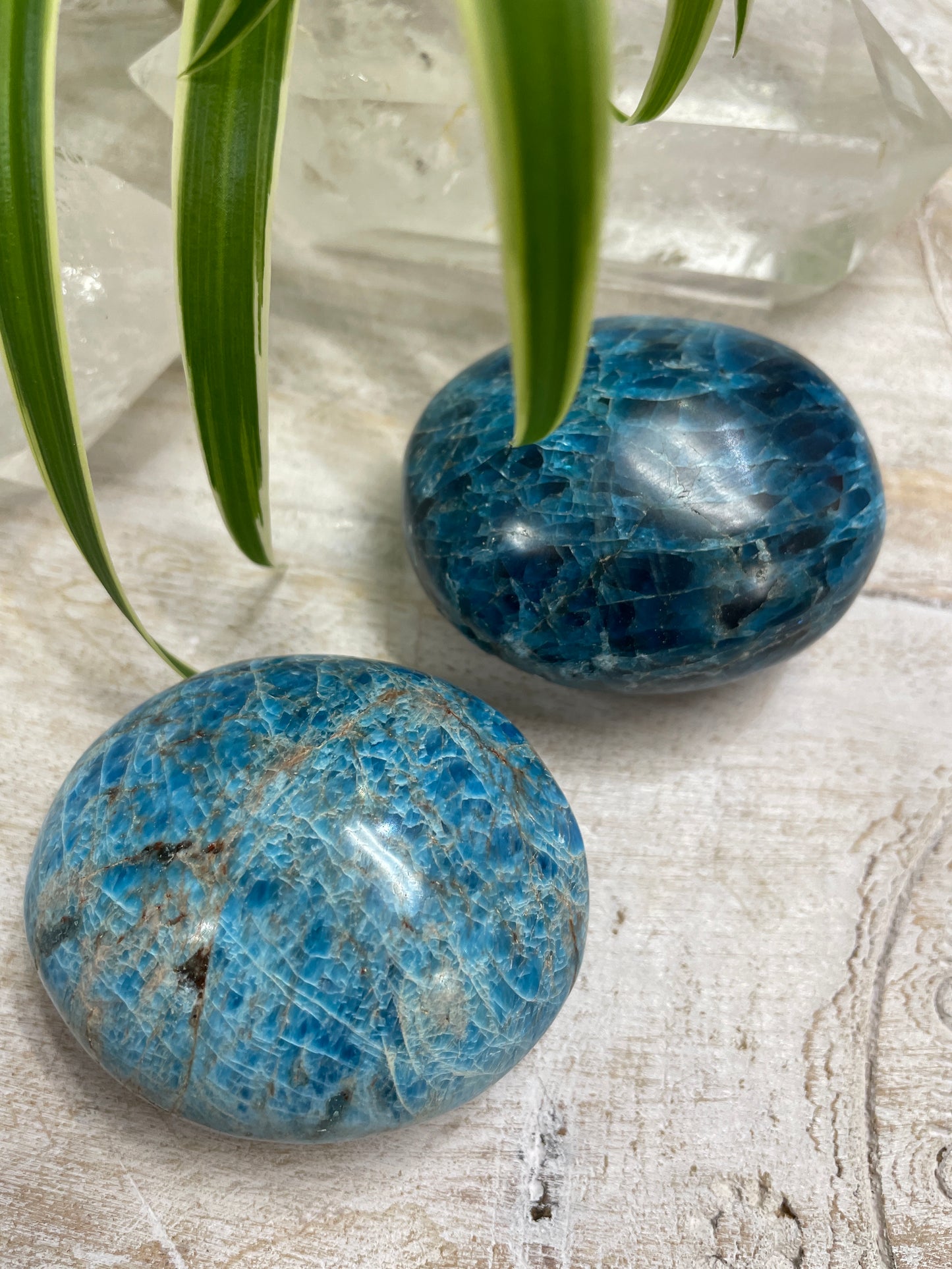 Blue Apatite Palm Stone