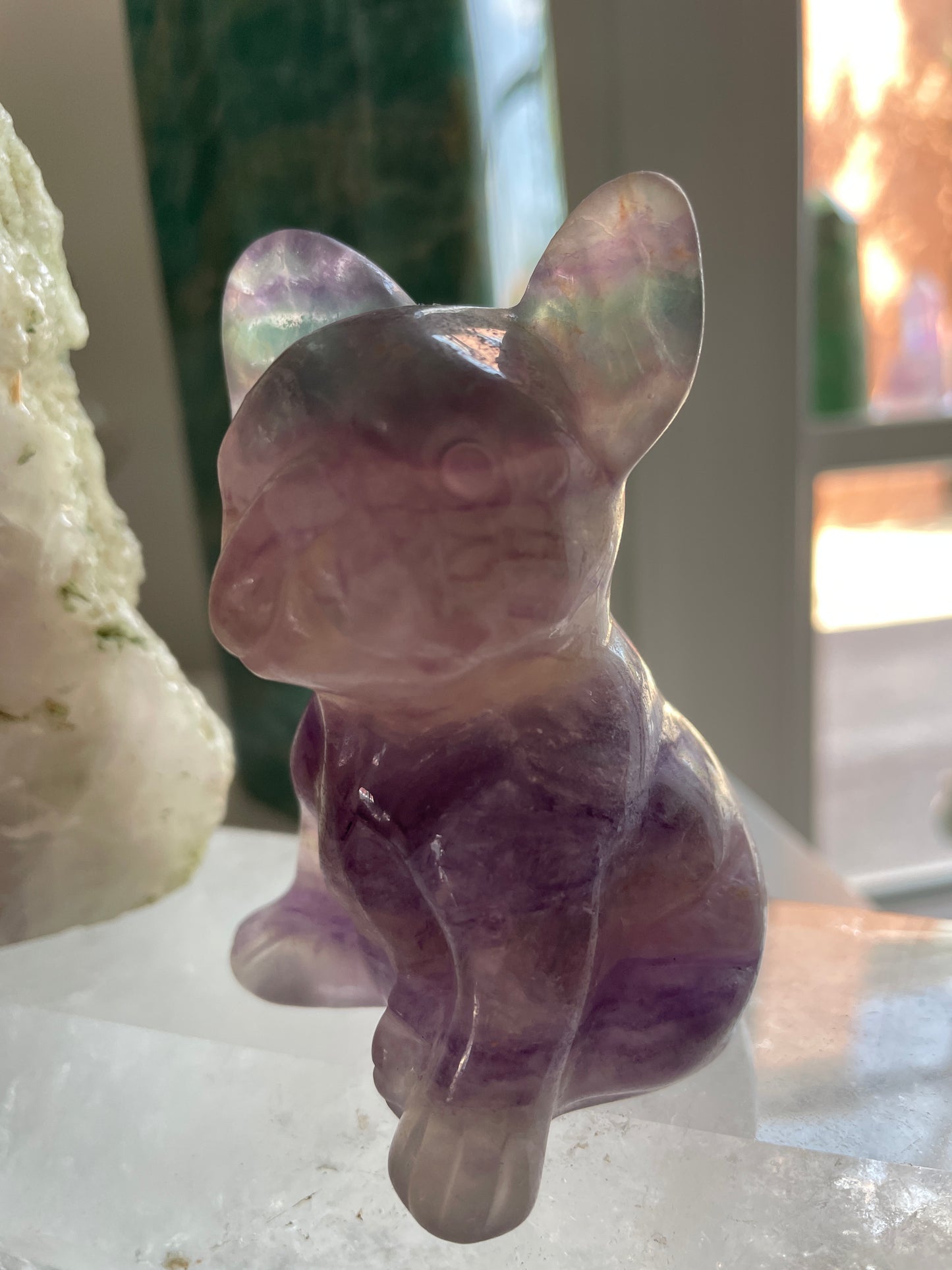 Fluorite French Bulldogs