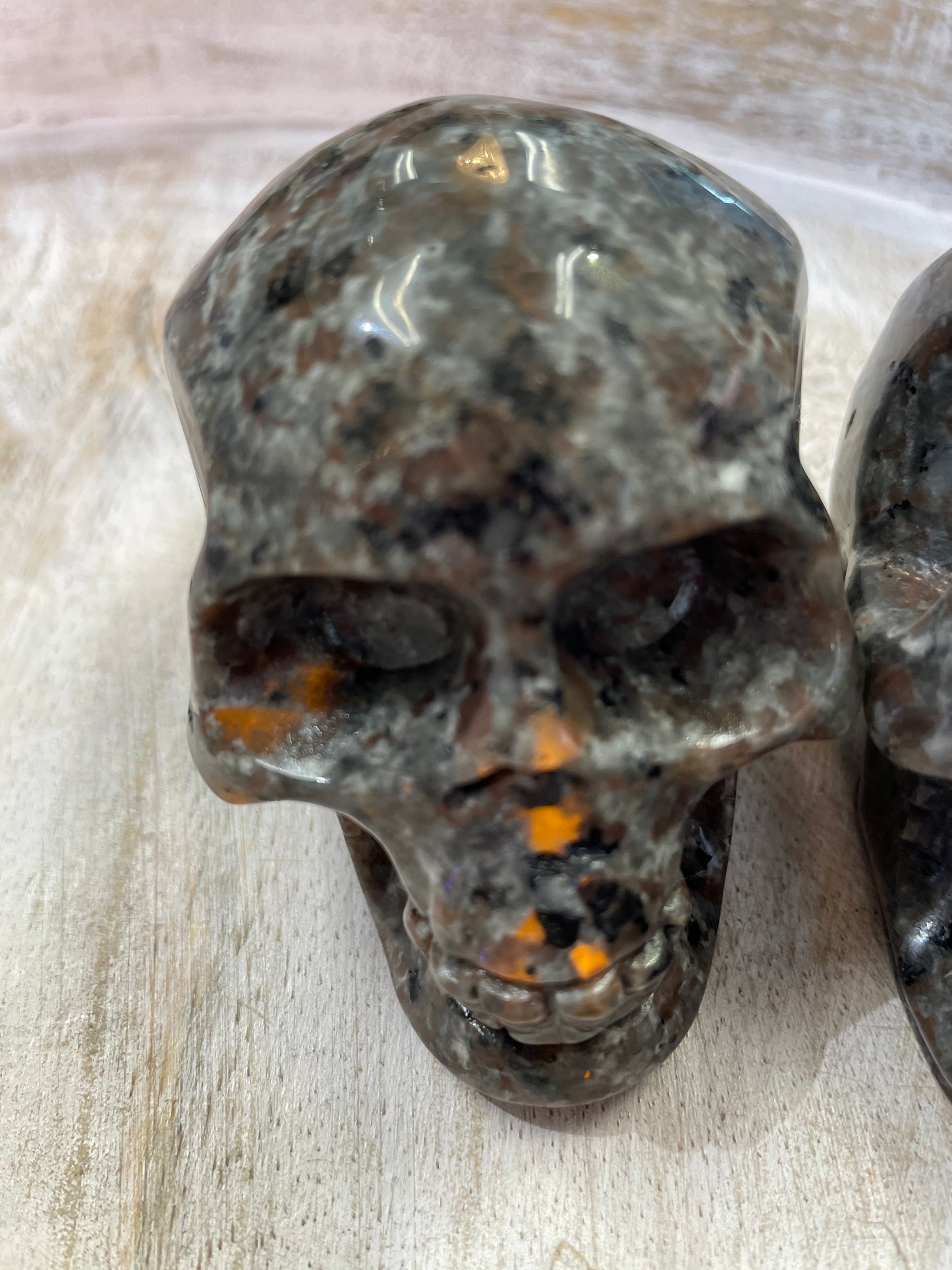 Yooperlite Skull
