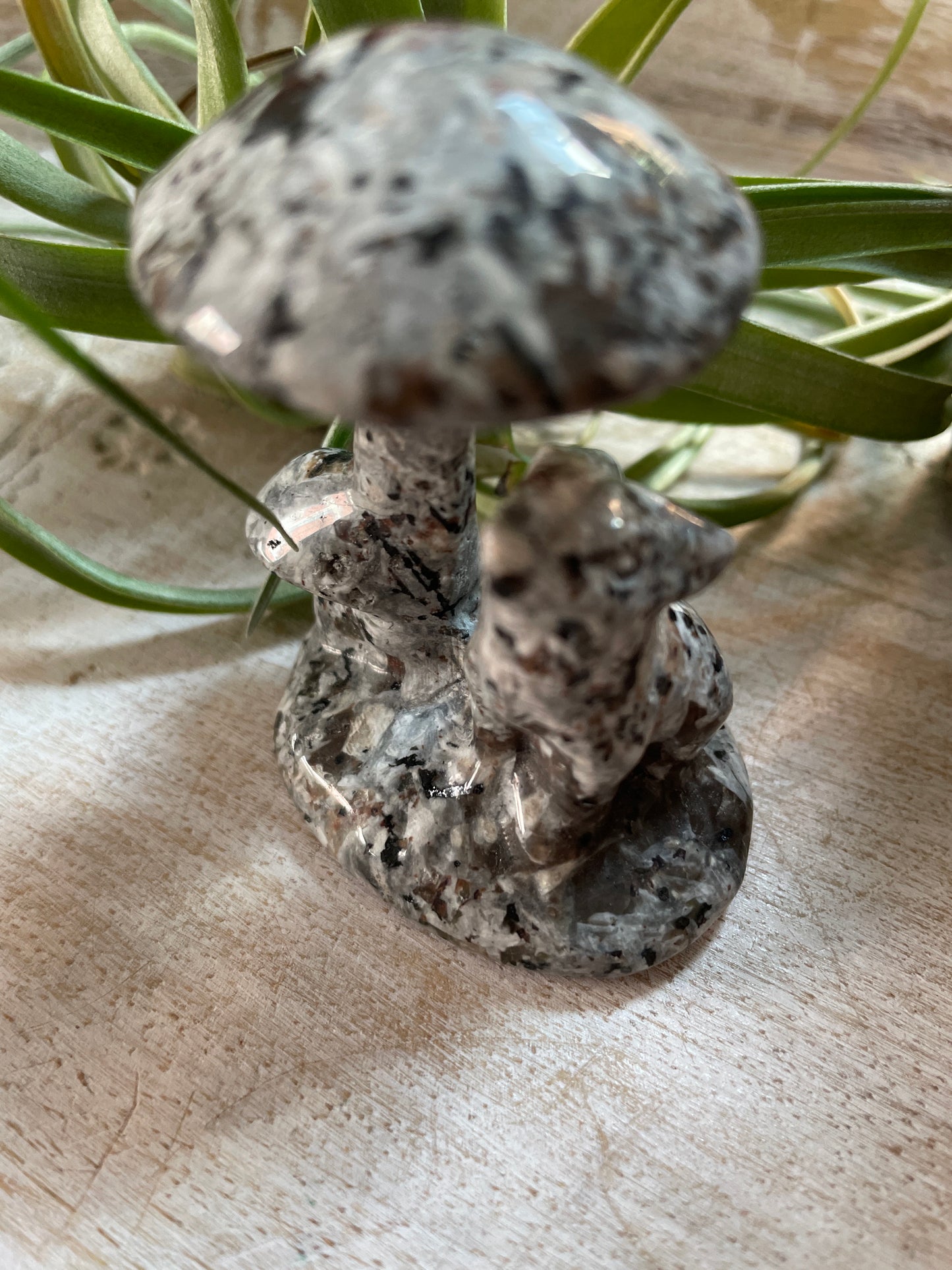 Mushroom Wolf/Owl Carving