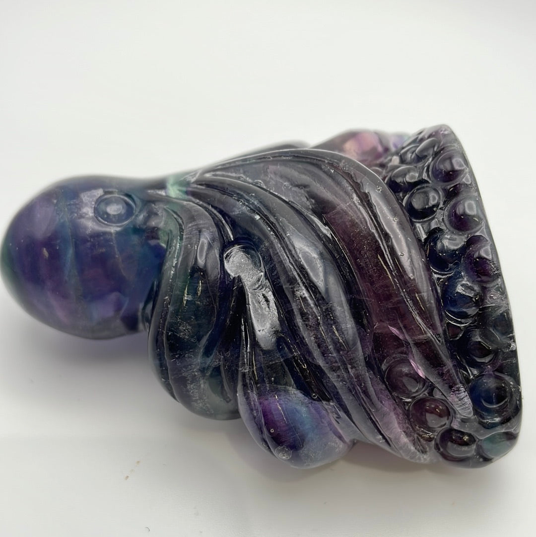 Fluorite Octopus