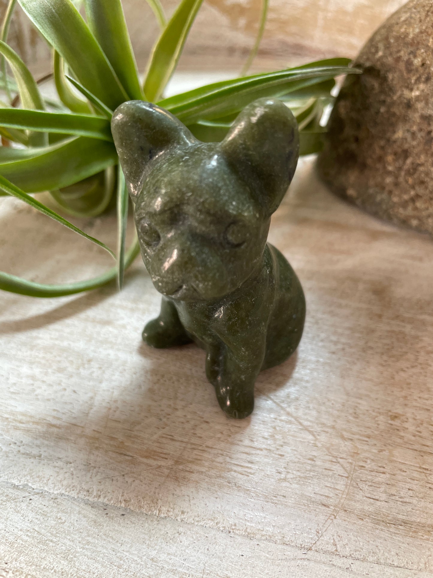 Jade French Bulldog