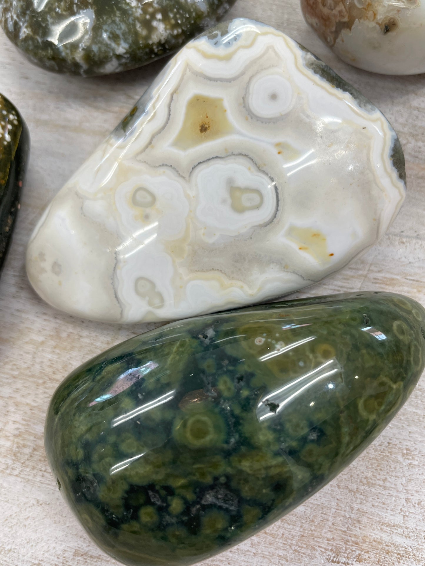 Ocean Jasper Zen Palm