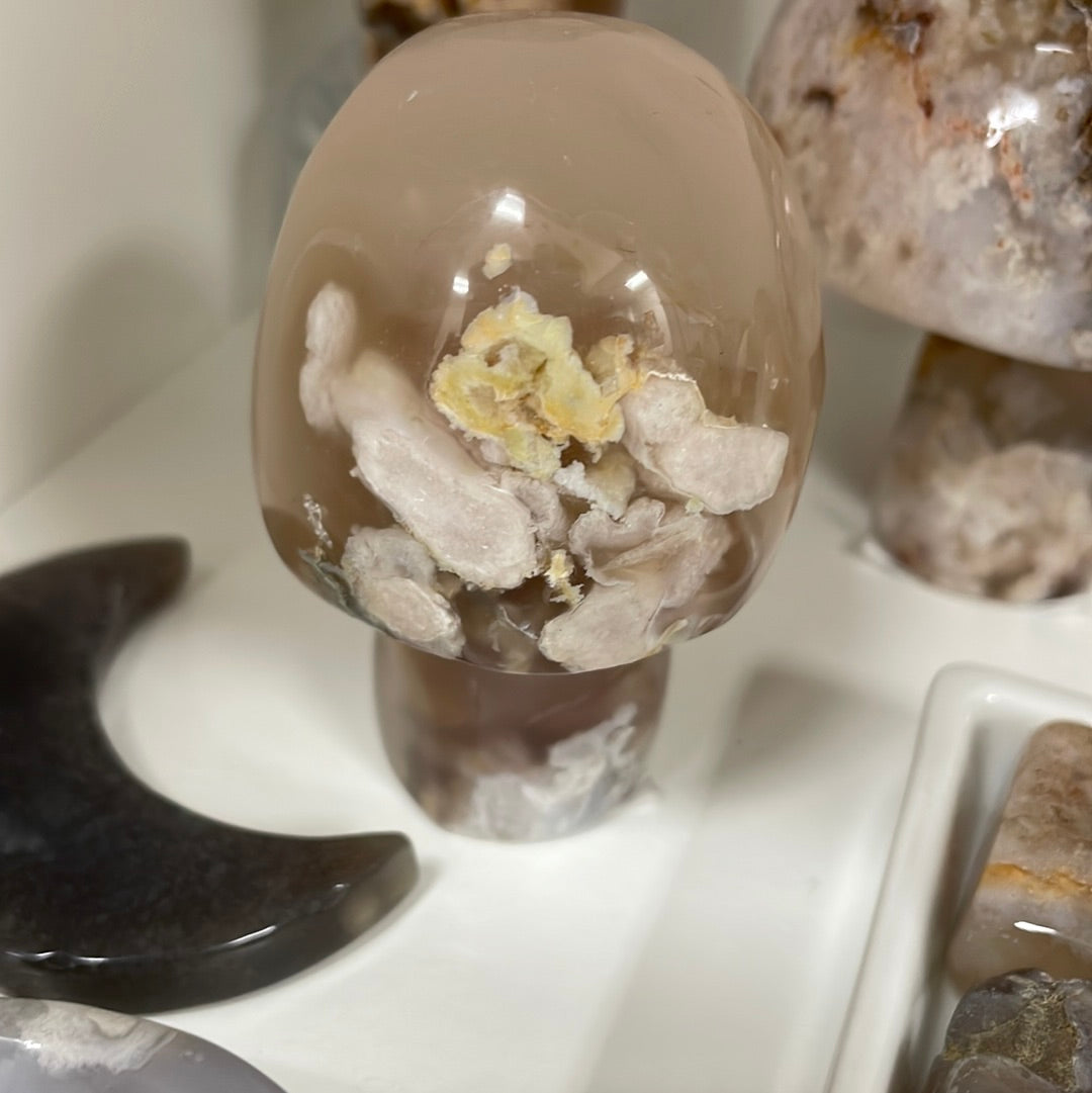 Flower Agate Mushrooms