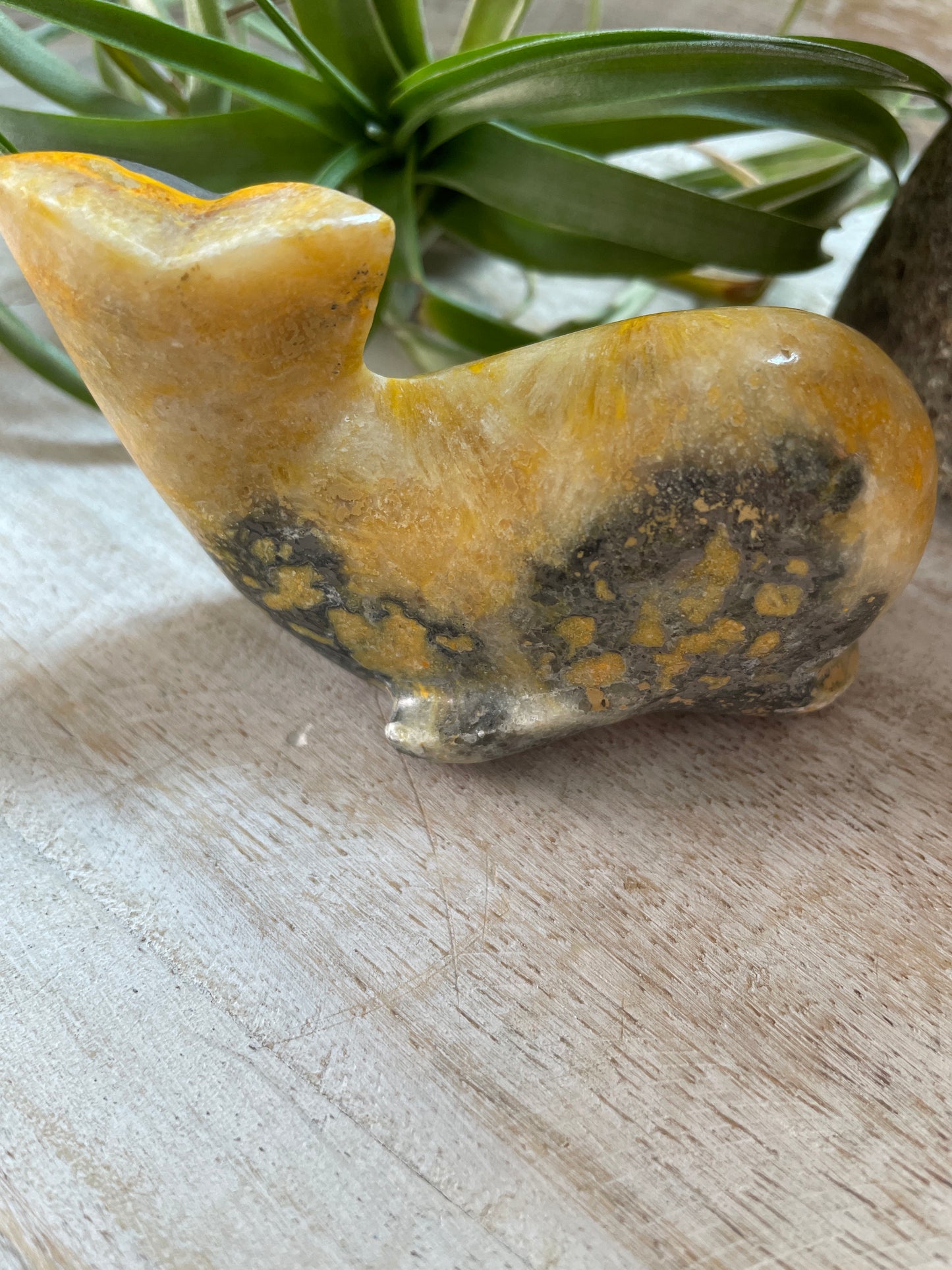 Bumblebee Jasper Whale