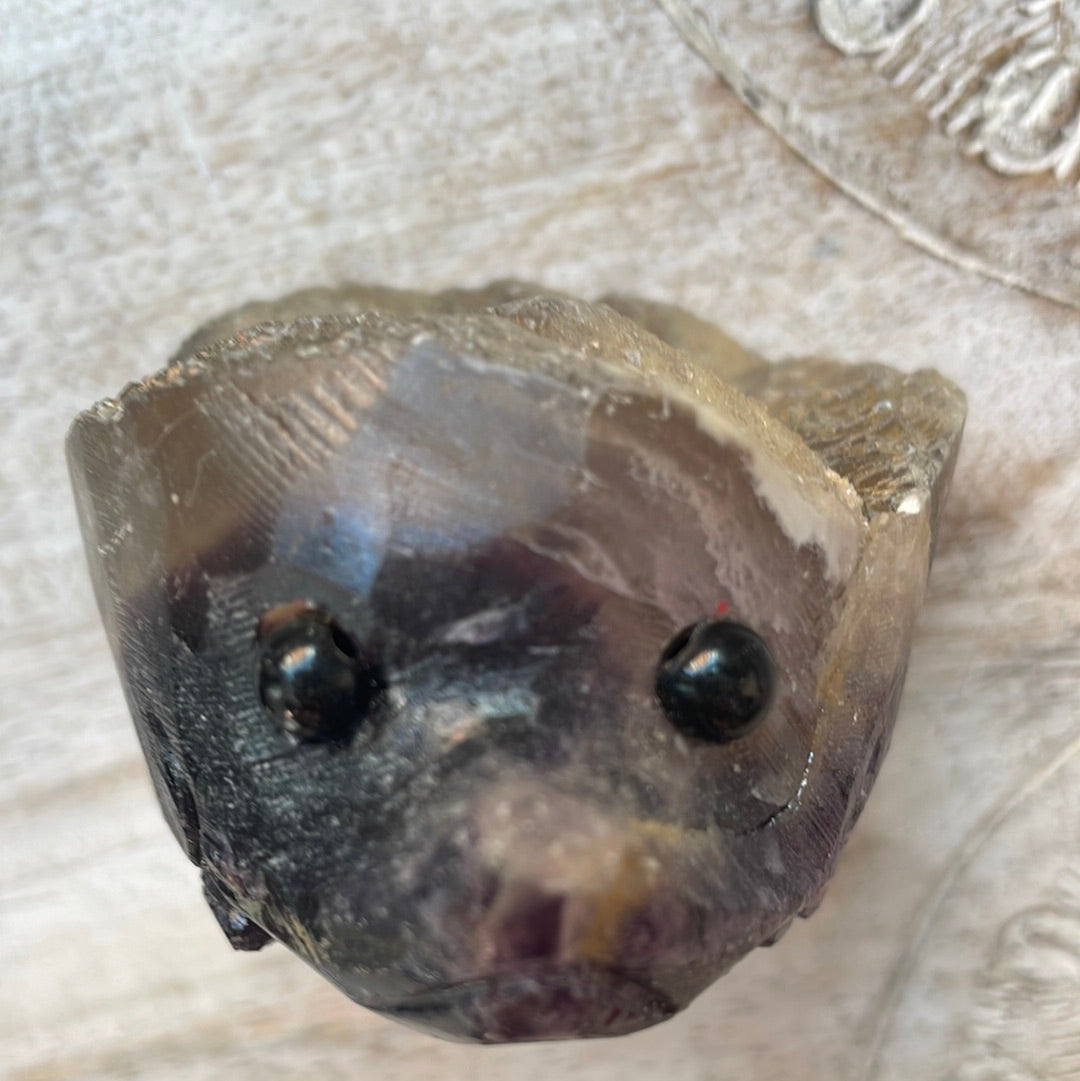 Fluorite Hedgehog