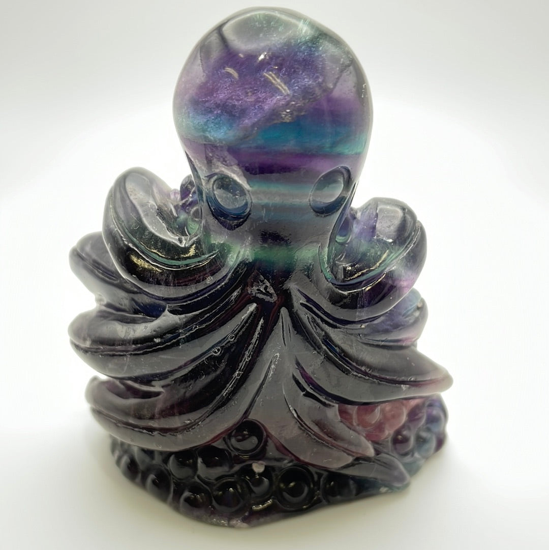 Fluorite Octopus