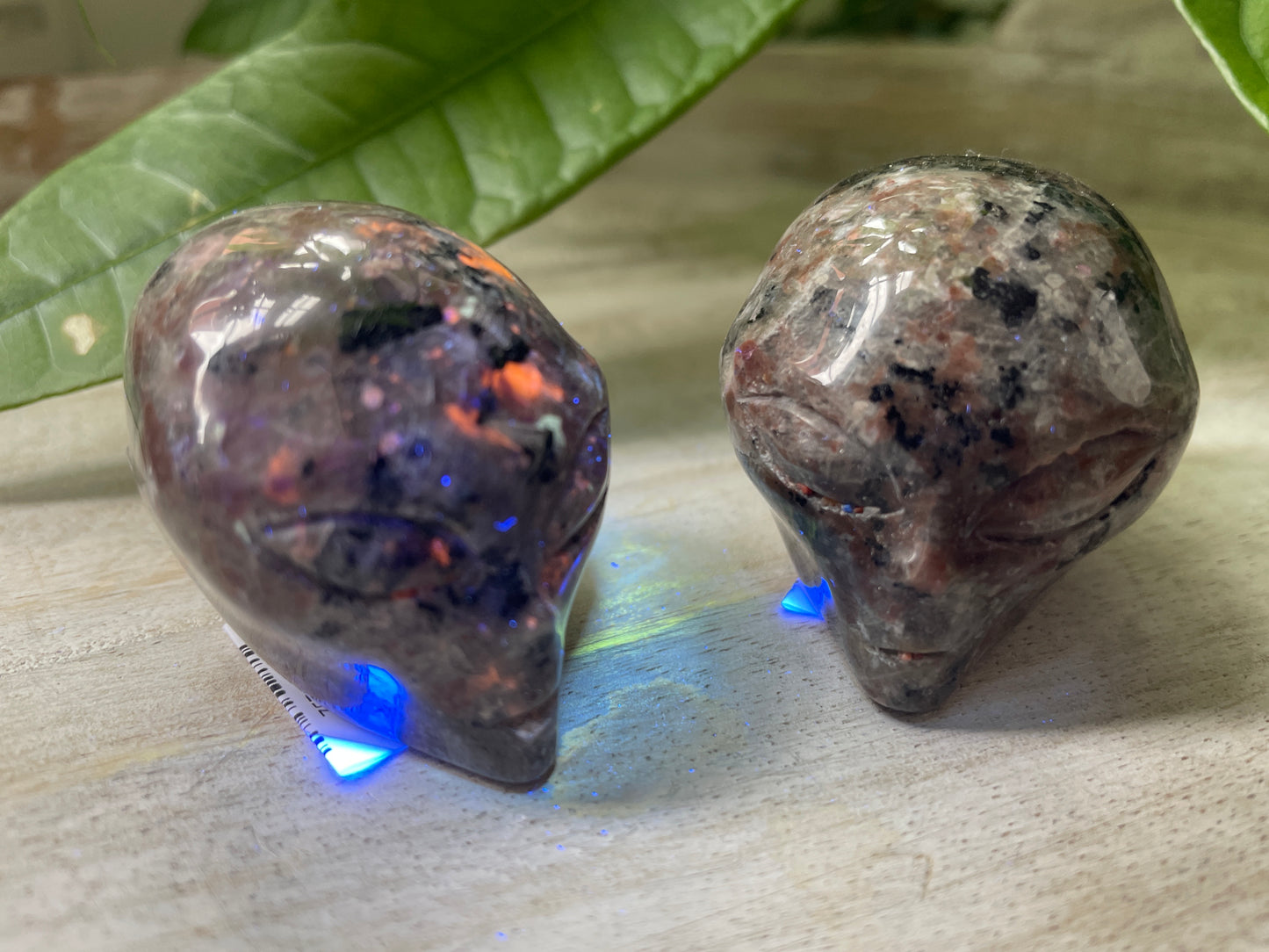 Yooperlite Alien Head