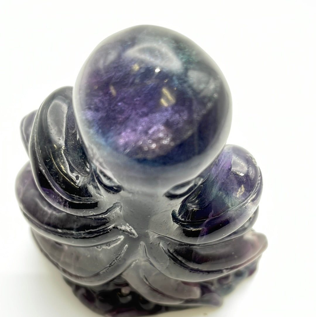 Fluorite Octopus