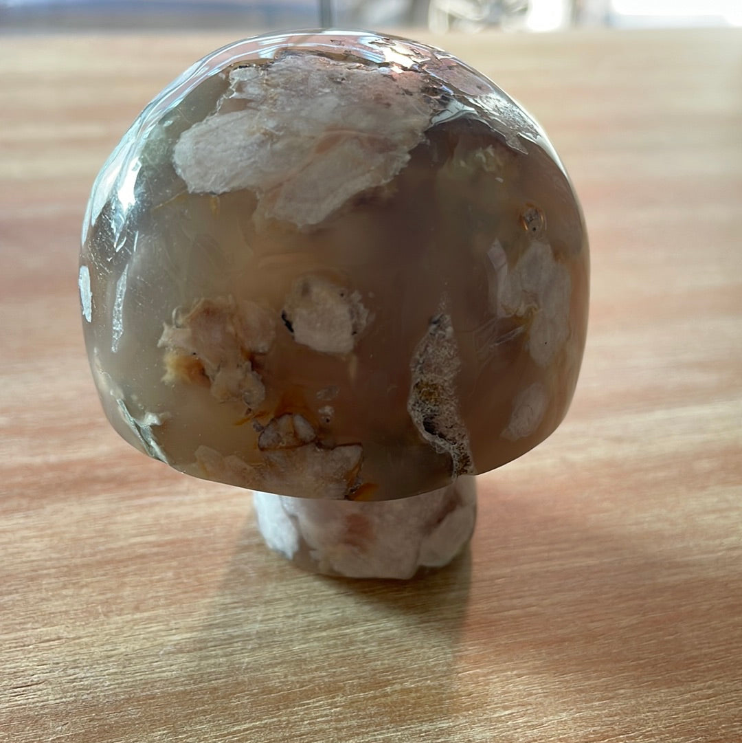 Flower Agate Mushrooms
