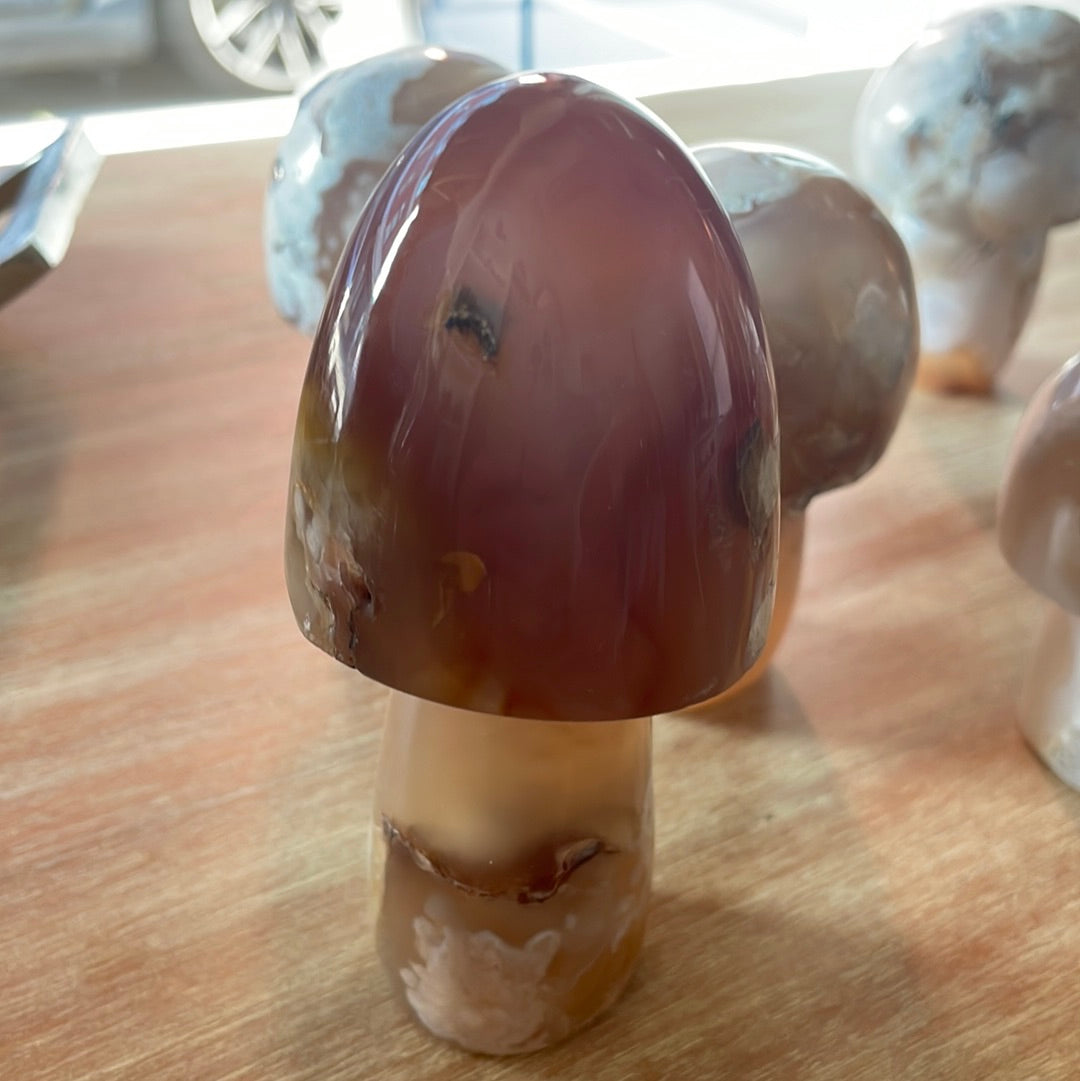Flower Agate Mushrooms