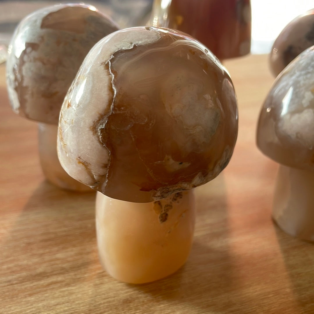 Flower Agate Mushrooms