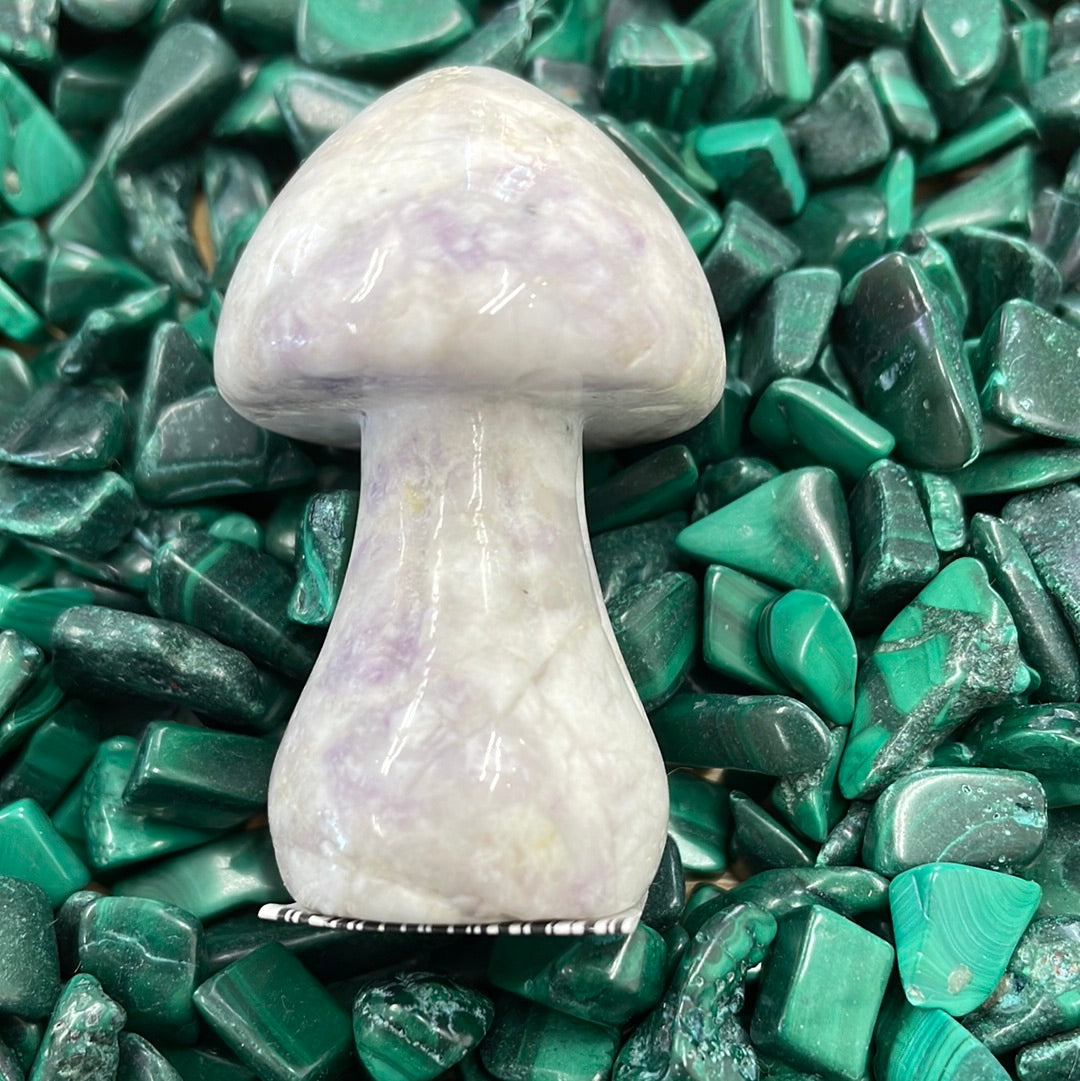 Mushroom