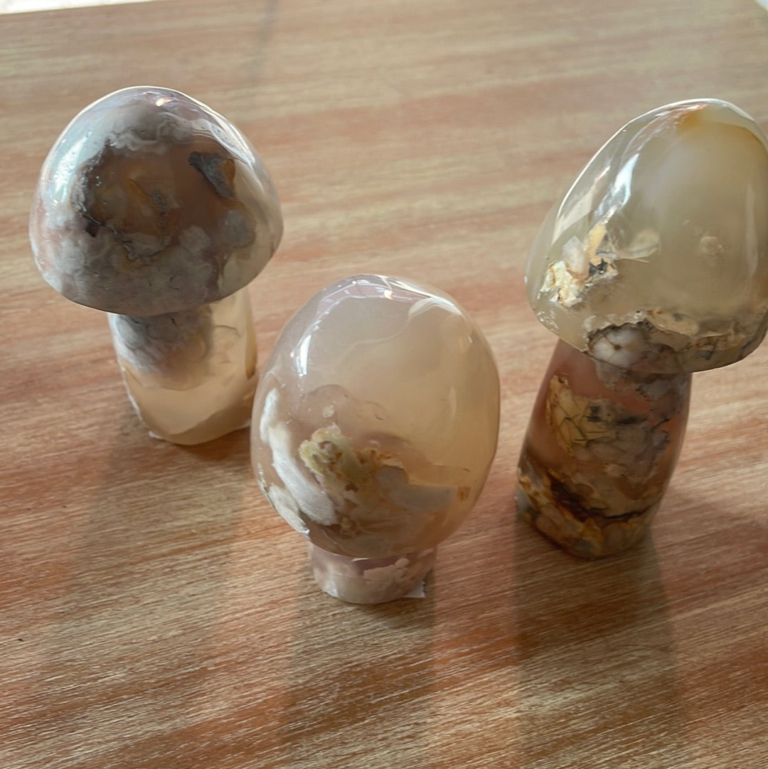 Flower Agate Mushrooms