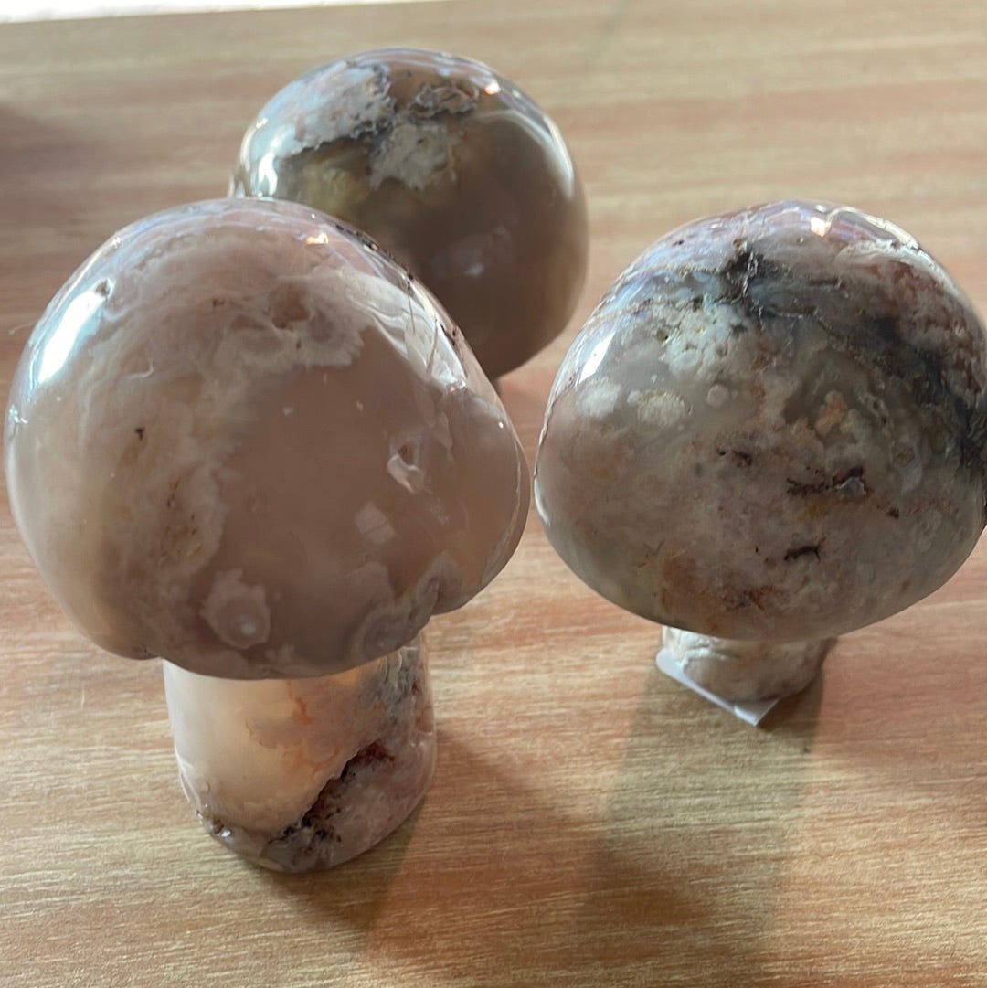 Flower Agate Mushrooms