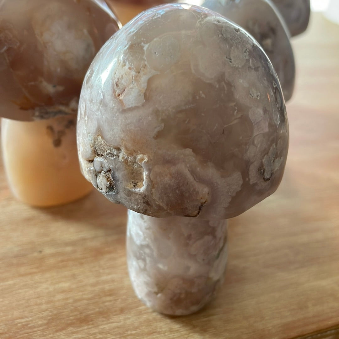 Flower Agate Mushrooms