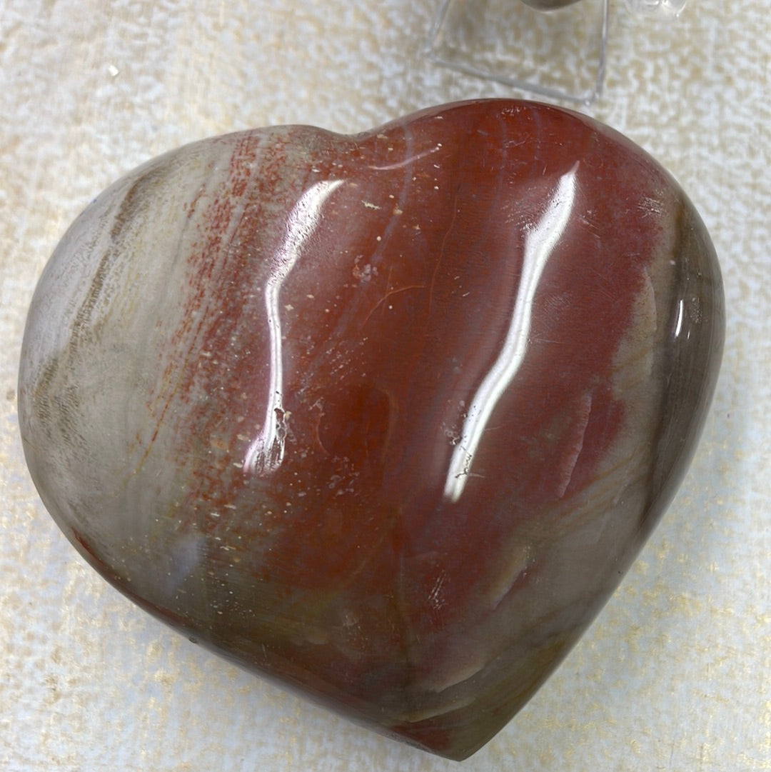 Petrified Wood Heart