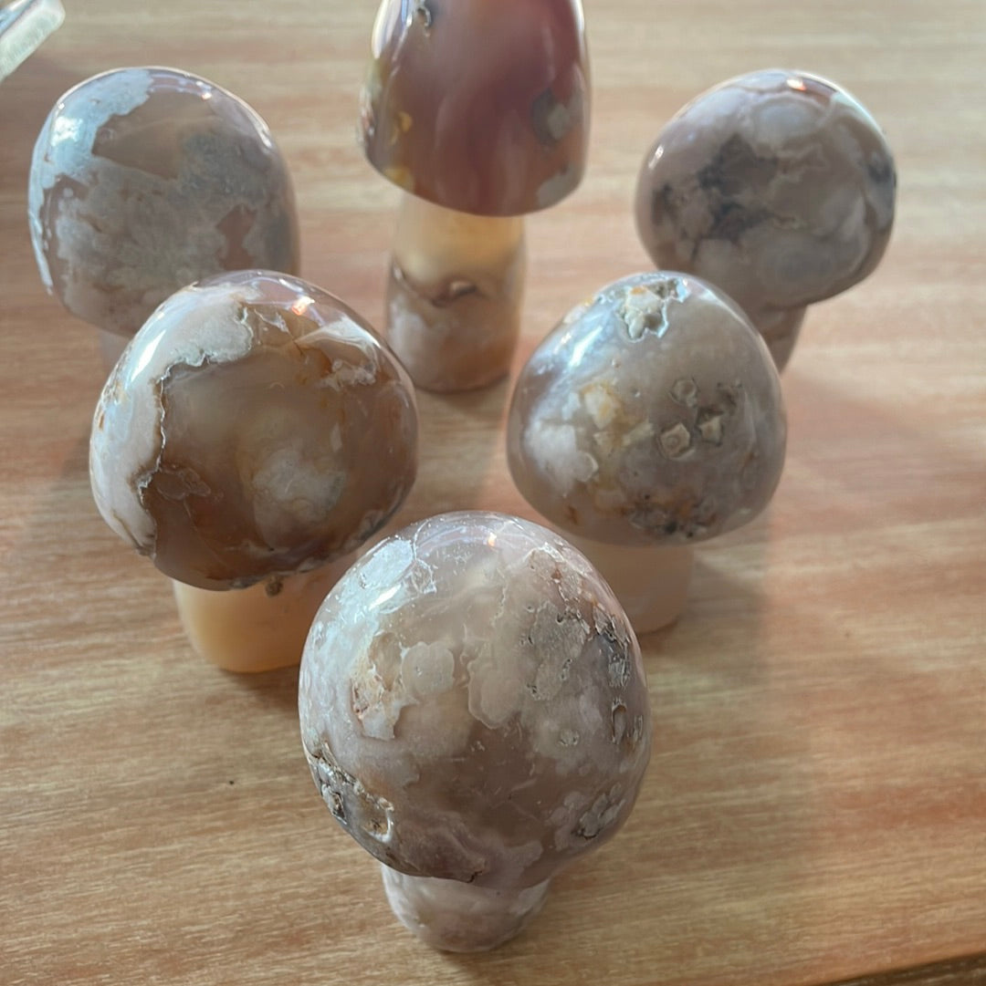 Flower Agate Mushrooms