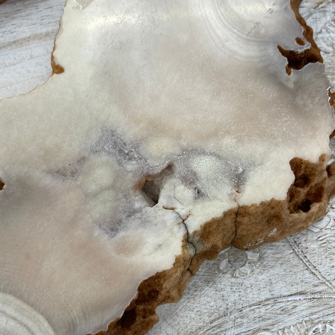 Pink Amethyst/Flower Agate Slab