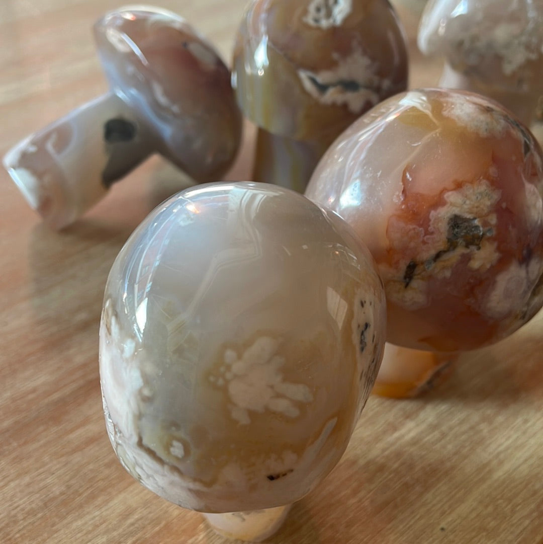 Flower Agate Mushrooms