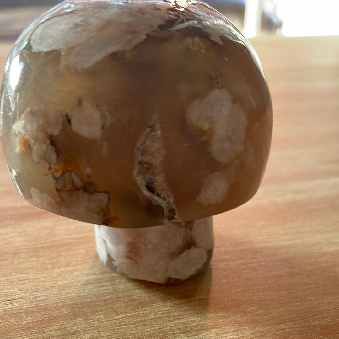 Flower Agate Mushrooms