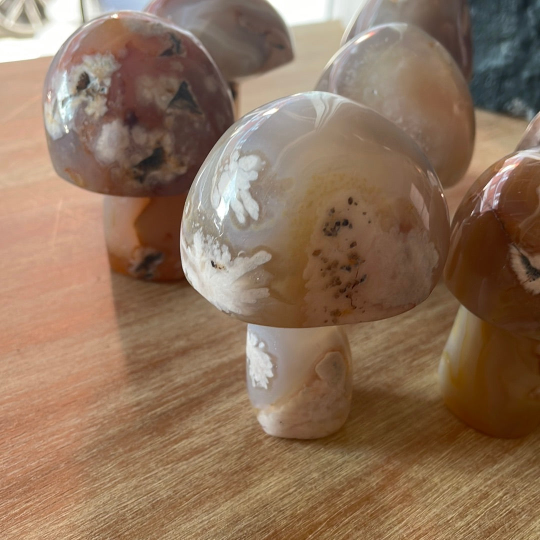 Flower Agate Mushrooms